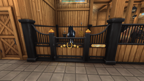 StarStable 2024-11-10 19-44-31.png