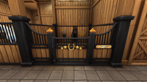 StarStable 2024-11-10 19-45-00.png