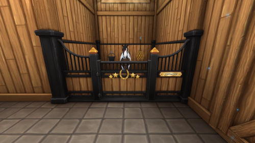 StarStable 2024-11-10 19-46-18.png