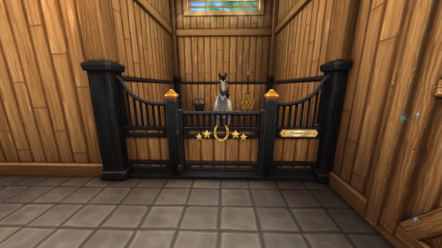 StarStable 2024-11-10 19-47-01.png