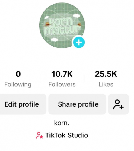 tiktok 2.PNG