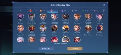 skin5.jpg