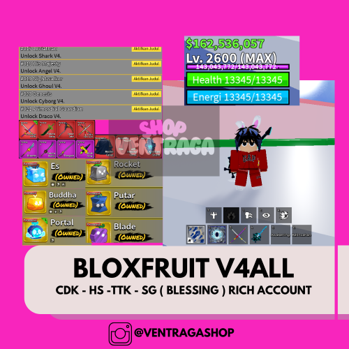 BLOXFRUIT04.png