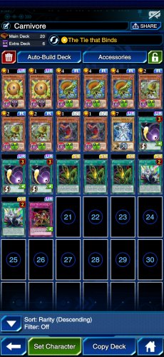 Screenshot_20200812_081307_jp.konami.duellinks.jpg