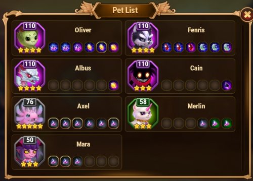 PET ATUALIZADO SET.jpg