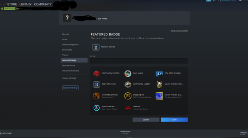 steamaccount for sale2.PNG