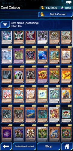 Screenshot_20210116-122402_Duel Links - Copy.jpg