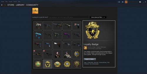 CSGO Inventory.jpg