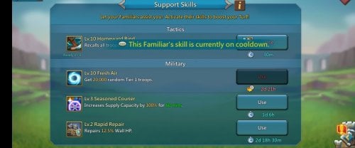 Familar Skill 1.jpg