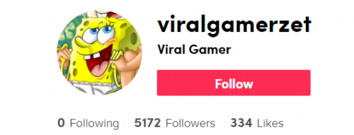 viralgamerzet.png