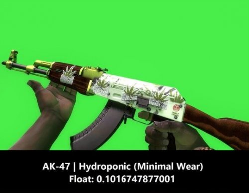 AK47 Hydroponic.jpg