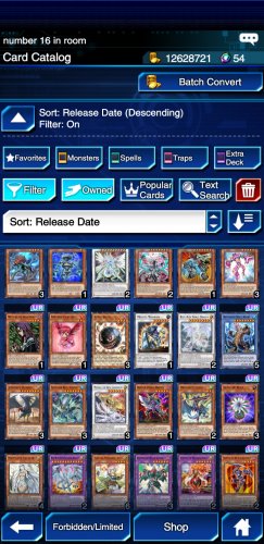 Screenshot_20210323-164741_Duel Links.jpg