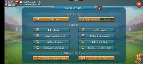 Guild Shell3.jpeg