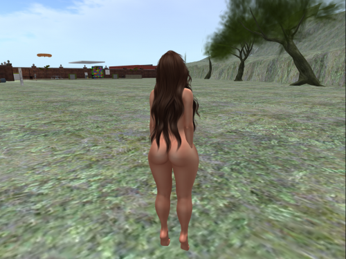 Snapshot_008.png