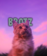 Brootz