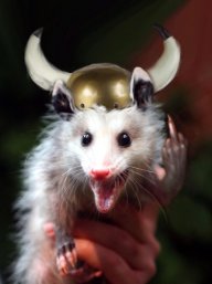 NuclearPossum