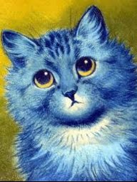 Blue Cat