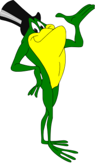 nicefrogboy