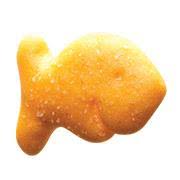 Coolgoldfish