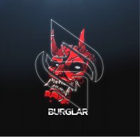 burglar