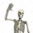 SkellyTony